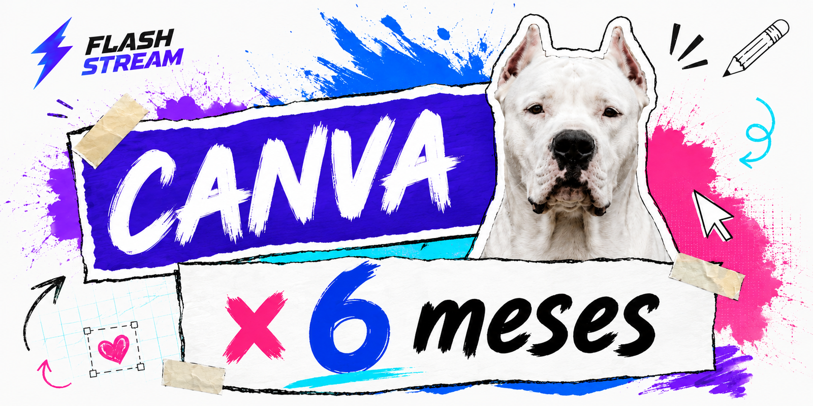 CANVA X 6 MESES